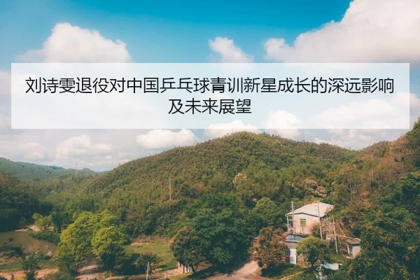 刘诗雯退役对中国乒乓球青训新星成长的深远影响及未来展望